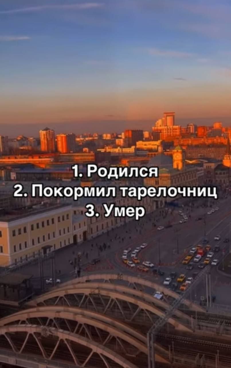 1. Родился 2. Покормил тарелочниц 3. Умер