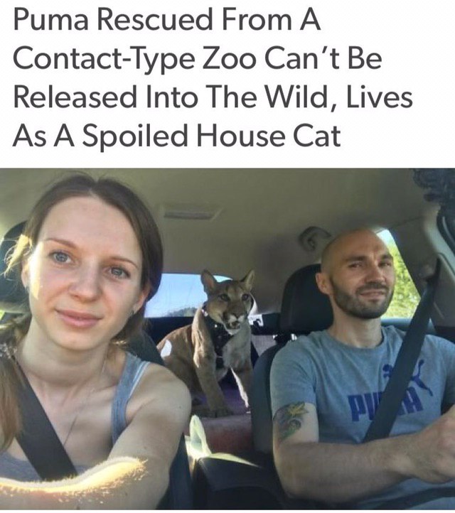 it doesnt seems spoiled