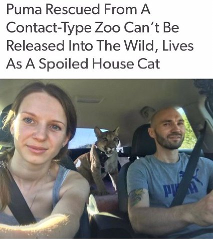 it doesnt seems spoiled