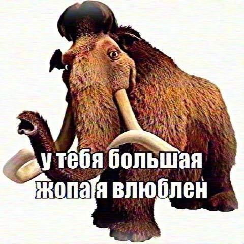 у 3 я большая ‘an 166 BHO блен