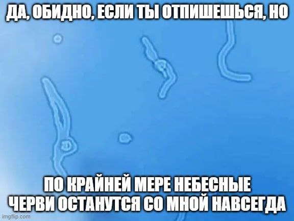 ДА, ОБИДНО, ЕСЛИ ТЫ ОТПИШЕШЬСЯ, ПО КРАЙНЕЙ МЕРЕ НЕБЕСНЫЕ ОСТАНУТСЯ МНОИ НАВСЕГДА