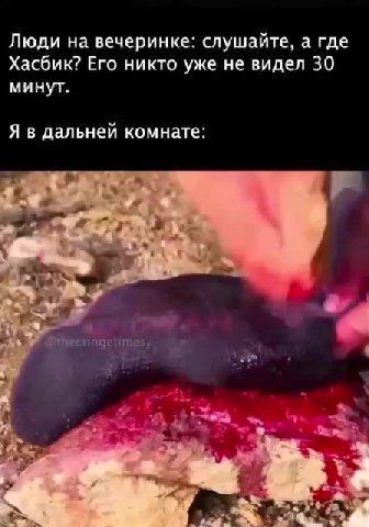 Люди на вечеринке: слушайте, а где Хасбик? Его никто уже не видел 30 Я в дальней комнате: