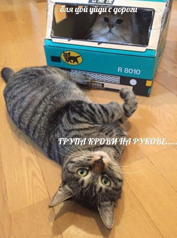 бля иой уйди с дороги ТРУПА НИ