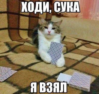 СУКА