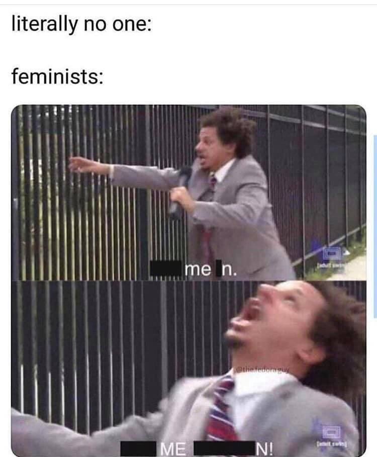 literally no one feminists