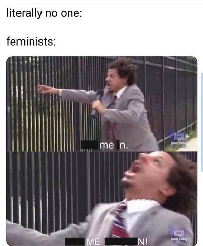 literally no one feminists