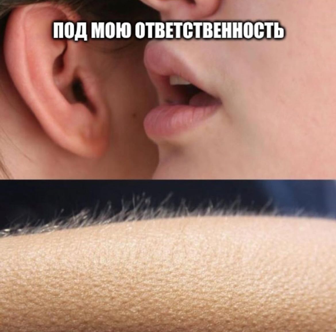 ПОД МОЮ ОТВЕТСТВЕННОСТЬ