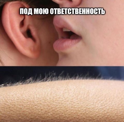 ПОД МОЮ ОТВЕТСТВЕННОСТЬ