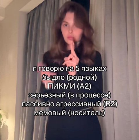 я говорю на 5 языках быдло (родной) `ПИКМИ (A2) серьезный (в процессе) пассивно агрессивный (В2) мемовый (носитель)