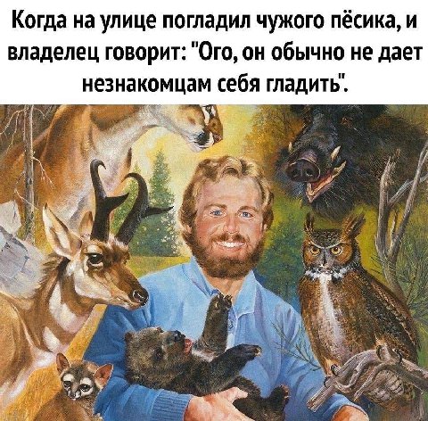 Когда на улице погладил чужого песика, и и владелец говорит: "Ого, он обычно не дает незнакомцам себя гладить. of у