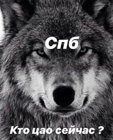 Спб Кто цао сейчас