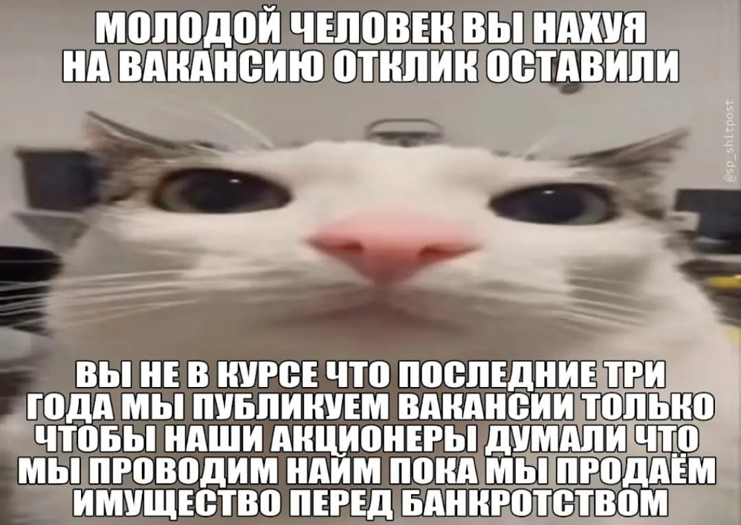 МОЛОДОЙ ЧЕЛОВЕК ВЫ НАХУЯ НА ВАКАНСИЮ ОСТАВИЛИ ВЫ HE В КУРСЕ ЧТО ПОСЛЕДНИЕ ТРИ ГОДА МЫ ПУБЛИКУЕМ ВАКАНСИИ ТОЛЬКО ЧТОБЫ НАШИ АКЦИОНЕРЫ ДУМАЛИ ЧТО МЫ ПРОВОДИМ HAMM ПОКА МЫ ПРОДАЕМ ИМУЩЕСТВО ПЕРЕД БАНКРОТ