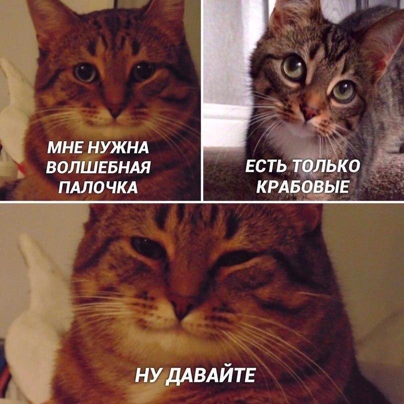 МНЕ НУЖНА ВОЛШЕБНАЯ ЕСТЬ ТОЛЬКО ПАЛОЧКА КРАБОВЫЕ НУ ДАВАЙТЕ