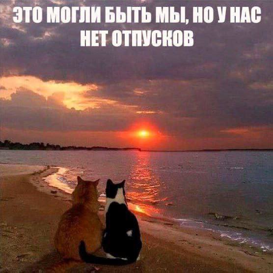 ЭТО МОГЛИ БЫТЬ МЫ, НЕТ ОТПУСКОВ