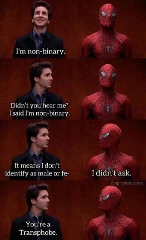 ‘and non-binary. Didn't you hear me? I said non-binary. It means I don't identify as male or I didn't ask. drip-meme.com Yourea Transphobe.