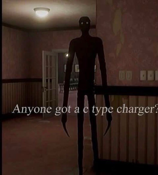а Anyone got a type charger‘