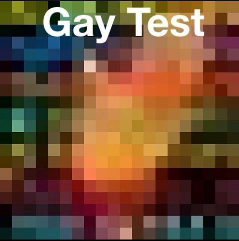 Gay Test