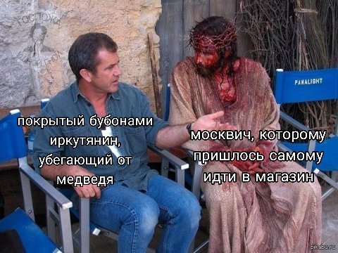 7 покрытый будонами москвич, которому убегающий\т пришлось самому идти в магазин, медведя и