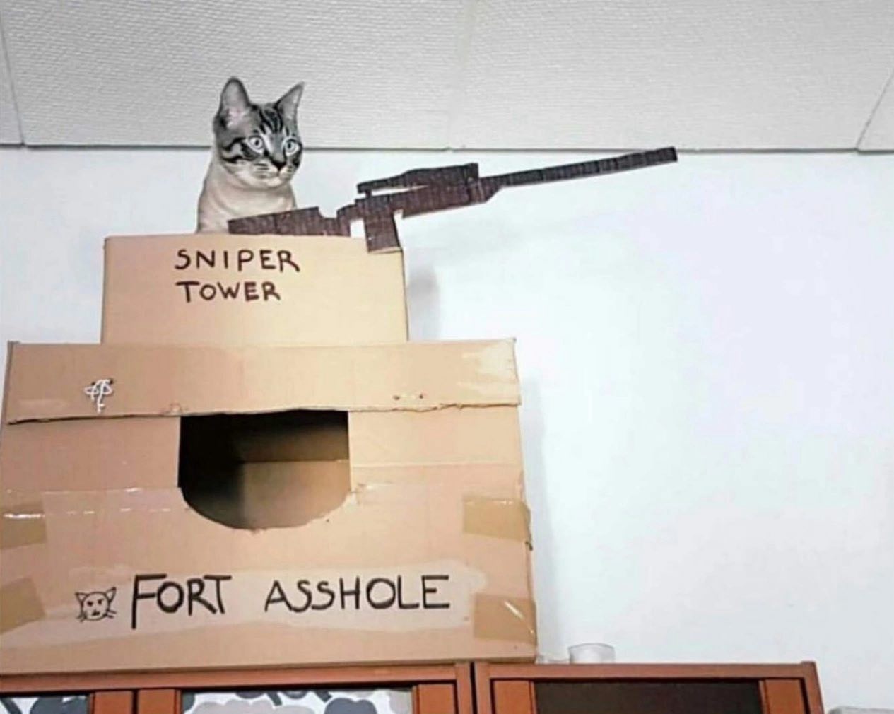 TOWER as ASSHOLE