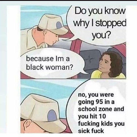 you know why stopped you? because Ima black woman? по, you were going 95ina school zone and you hit 10 fucking kids you sick fuck