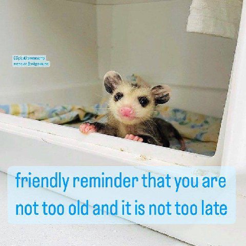Bonlypossums friendly reminder that you are not too old-and it is not too late