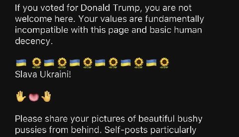 you voted for Donald Trump, you are not welcome here. Your values are fundamentally incompatible with this page and basic human decency. Slava ИКгати Please share your pictures of beautiful bushy puss