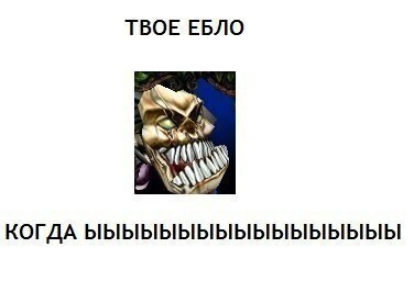 ТВОЕ ЕБЛО KOT