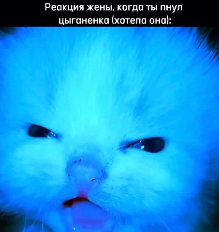 Реакция жены, когда ты пнуп цыганенка (хотела она):