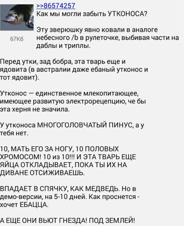 >>86574257 Как мы могли забыть УТКОНОСА? Эту зверюшку явно ковали в аналоге небесного в рулеточке, выбивая части на даблы и триплы. Перед утки, зад бобра, эта тварь ещеи ядовита (в австралии даже ебан