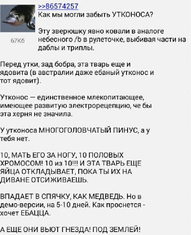 >>86574257 Как мы могли забыть УТКОНОСА? Эту зверюшку явно ковали в аналоге небесного в рулеточке, выбивая части на даблы и триплы. Перед утки, зад бобра, эта тварь ещеи ядовита (в австралии даже ебан