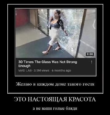 39 30 Times The Glass Was Not Strong Enough MAD ГАВ views 6 months ago Желаю в каждом доме такого гостя ЭТО НАСТОЯЩАЯ КРАСОТА а не ваши голые бляди