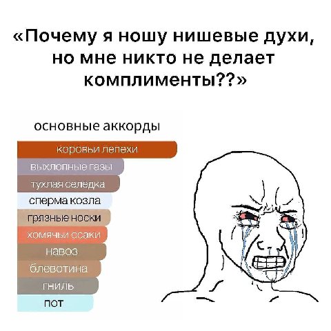 «Почему я ношу нишевые духи, но мне никто не делает основные аккорды коровьи лепехи выхлопные газы тухлая селедка грязные a хомячьи ссаки навоз блевотина гниль пот