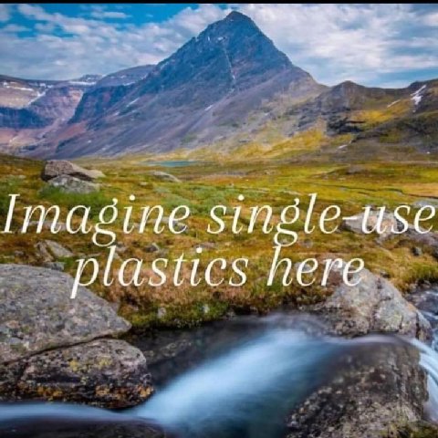 single-use plastics here