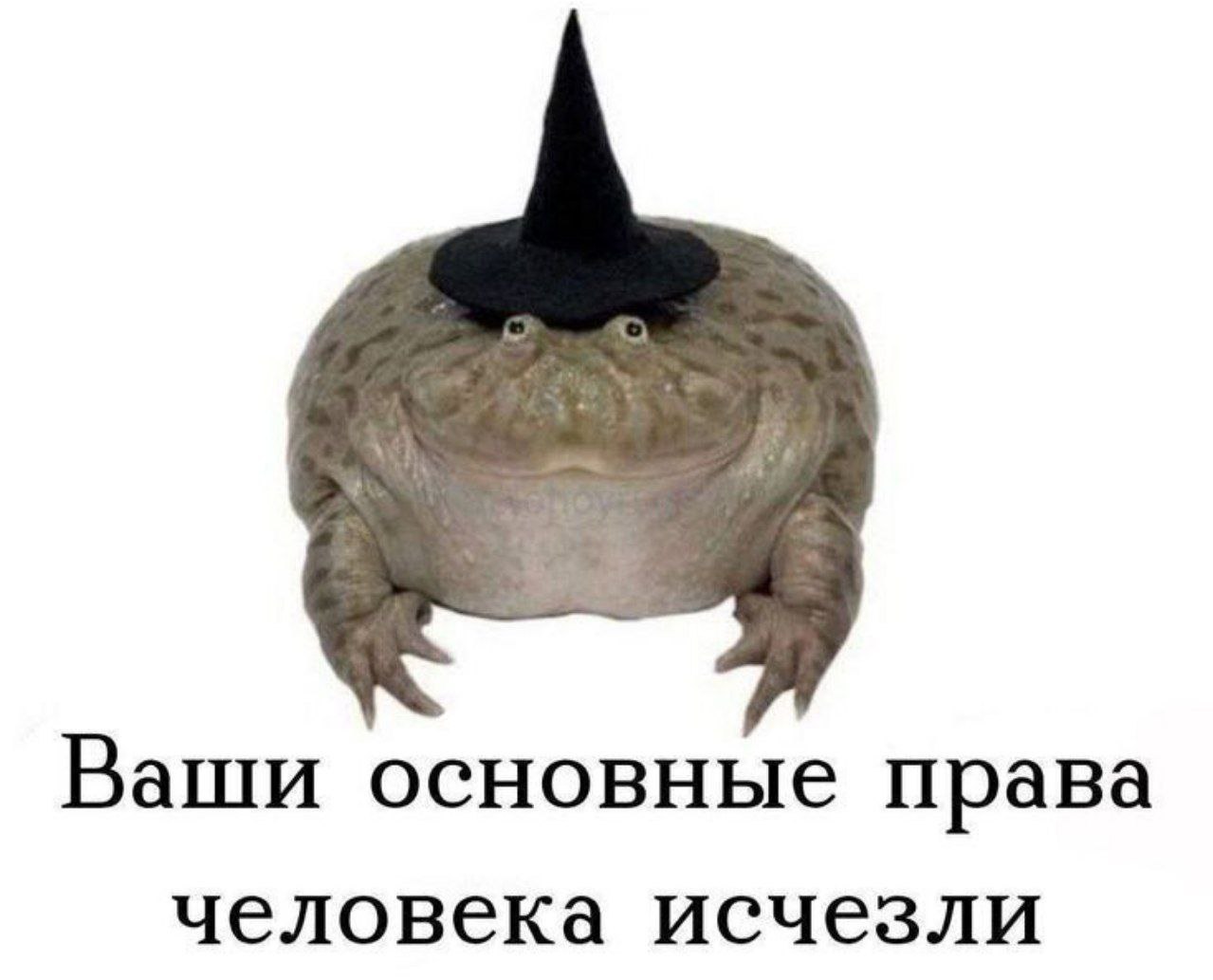 Ваши основные права человека исчезли