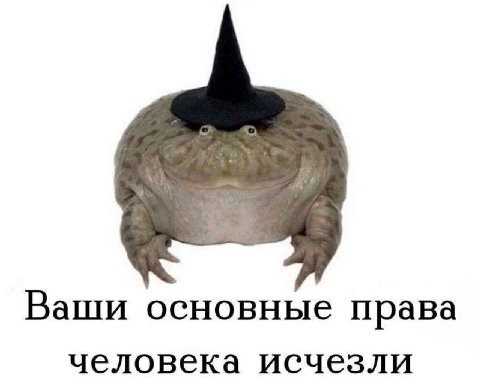 Ваши основные права человека исчезли