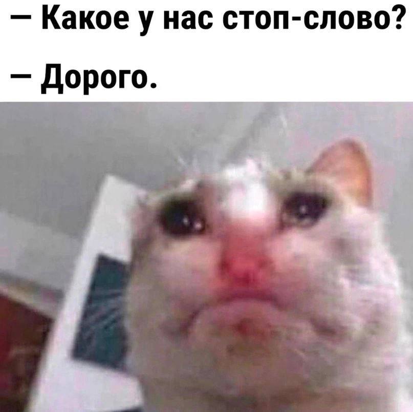 Какое у нас стоп-слово? Дорого.