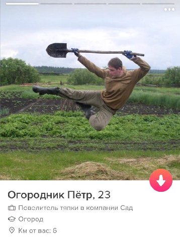Огородник Пётр, 23 Повелитель тяпки в компании Сад Огород Bac: 6