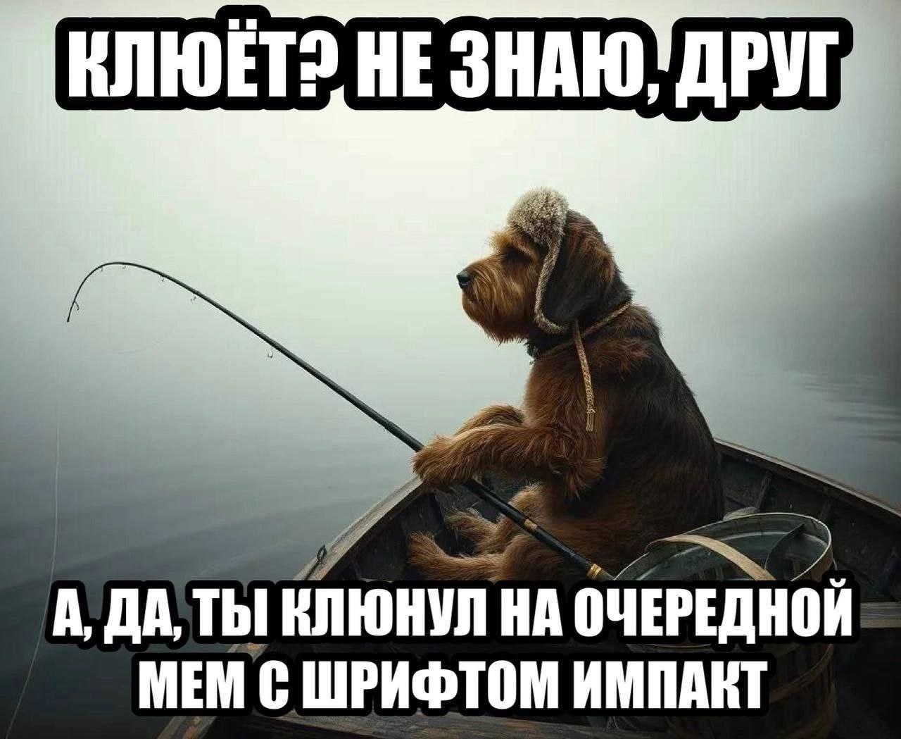 НЕЗНАЮ, ДРУГ А, ДАТЫ ОЧЕРЕДНОЙ МЕМ С ШРИФТОМ ИМПАКТ
