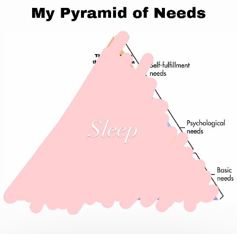 Pyramid of Needs self-fulfillment needs Psychological needs