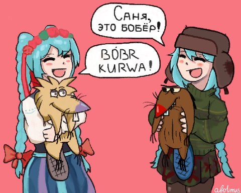 Саня, ЭТО БОБЁР!