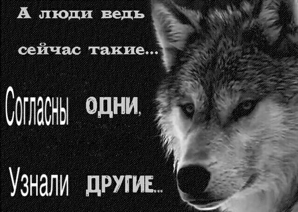 А люли сеичас такие одни УзнаЛИ ДРУГИЕ.