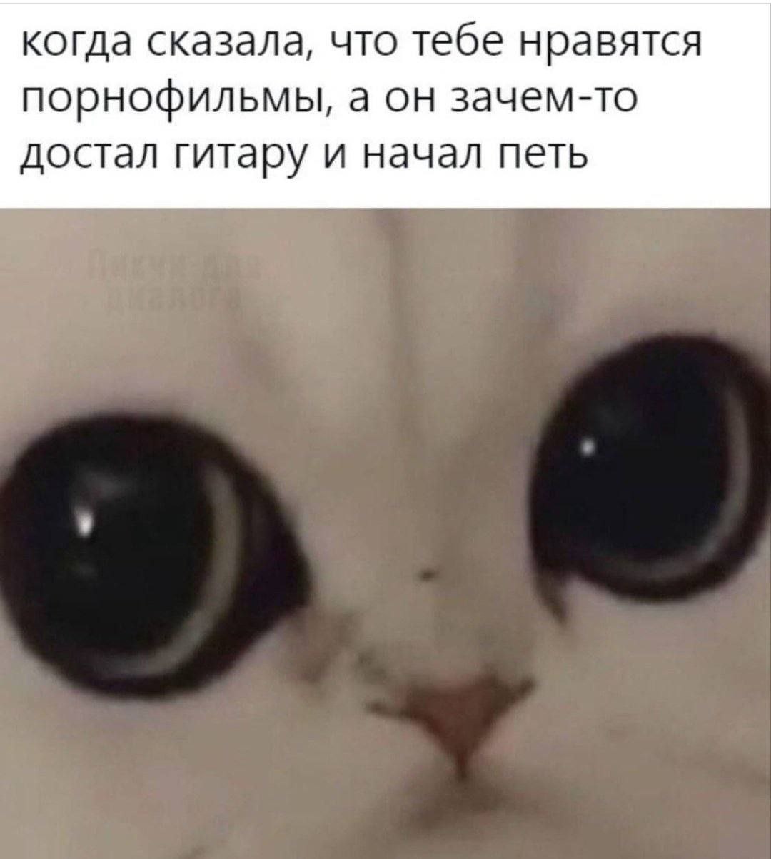 когда сказала, что тебе нравятся порнофильмы, а он зачем-то достал гитару и начал петь