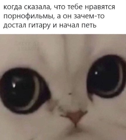 когда сказала, что тебе нравятся порнофильмы, а он зачем-то достал гитару и начал петь