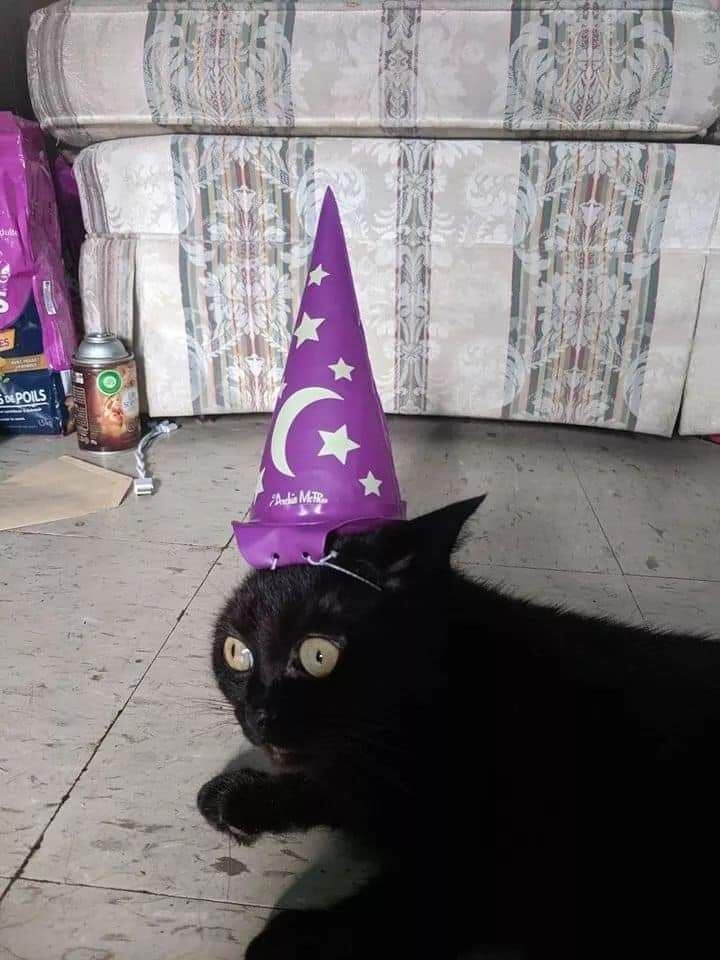 at 4 a а. Que 1 А у; у i и we а 2