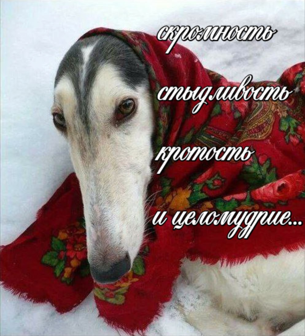 ИАА ИАА uM OT Le ‘a gy