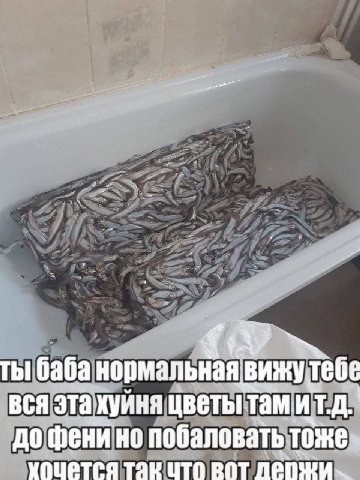 ты баба нормальная вижутебе вся эта хуйня цветы тамит.д. до фени но побаловать тоже- хочется так что вот
