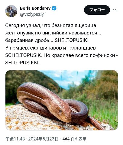 7 Boris Bondarev @Vizlypuzly1 Сегодня узнал, что безногая ящерица желтопузик по-английски называется... барабанная дробь... SHELTOPUSIK! У немцев, скандинавов и голландцев SCHELTOPUSIK. Но красивее вс