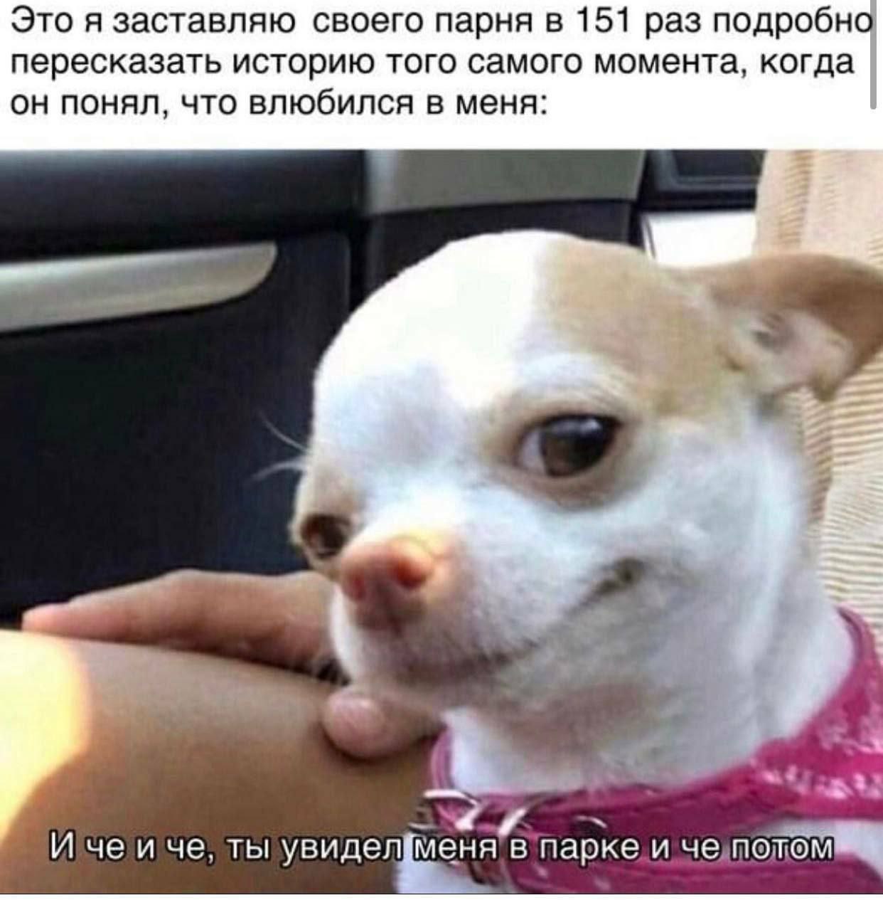 Это я заставляю своего парня в 151 раз подробно пересказать историю того самого момента, когда он понял, что влюбился в меня: a И чеи че, ты увиделфиеня в парке. и