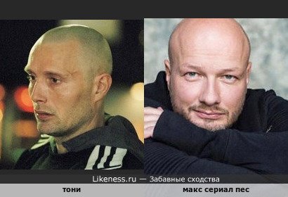 #фотошутка702