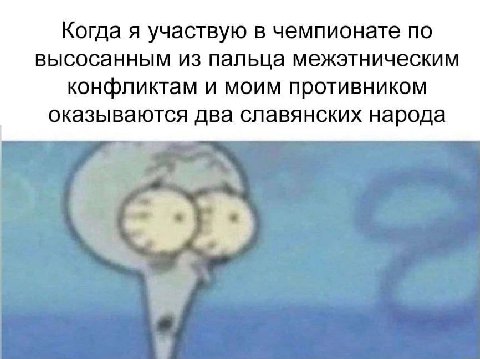 Когда я участвую в чемпионате по высосанным из пальца межэтническим конфликтам и моим противником оказываются два славянских народа